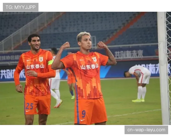 山东队少赛两轮暂居第九 后续补赛或引发排名变动